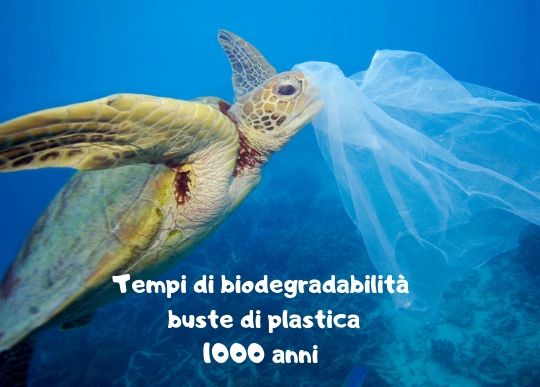 Biodegradabilita buste di plastica.jpg